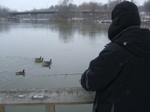 A group of geese paddle past Holmes’ line.