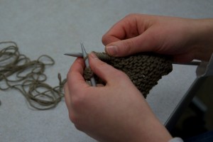 Dobbin is knitting a dishcloth.