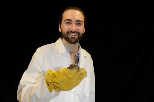 Master's student Lucas Greville holding a big brown bat.  Photo by Brock Fenton 