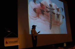 The Nature in the City lectures take place every Tuesday night at Wolf Performance Hall.  Photo by Ben Fraser 