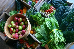 Each week, the Food Box Project orders organic produce in bulk from local distributors. Photo courtesy of Abby Hopson. 